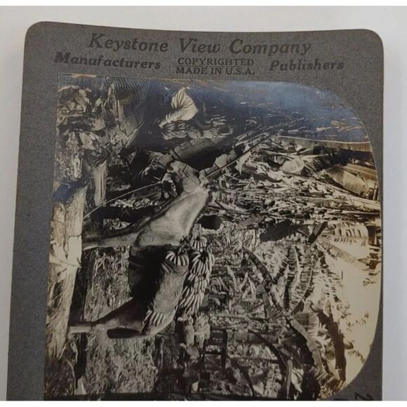 Keystone View card Harvesting Bananas In Costa Rica Photo Card - Picture 5 of 8